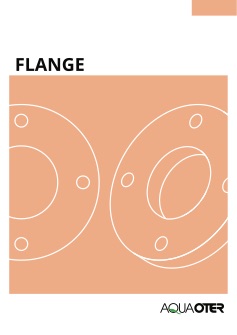 Flange